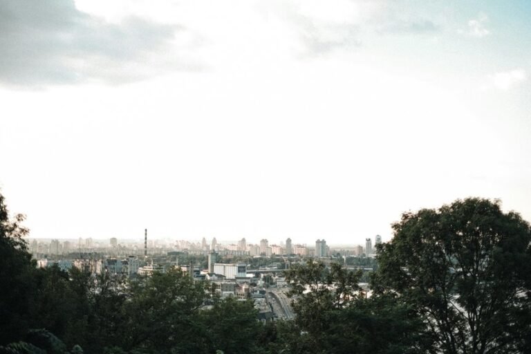 digital growth opportunity ahead